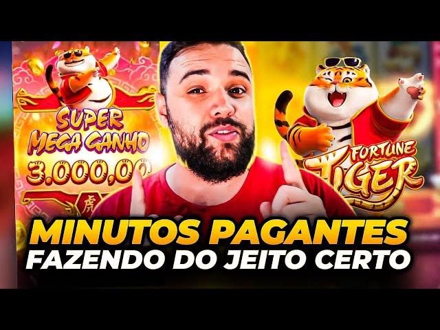 wild bet casino imagem de tela 6