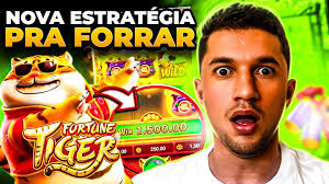 wild bet casino imagem de tela 2